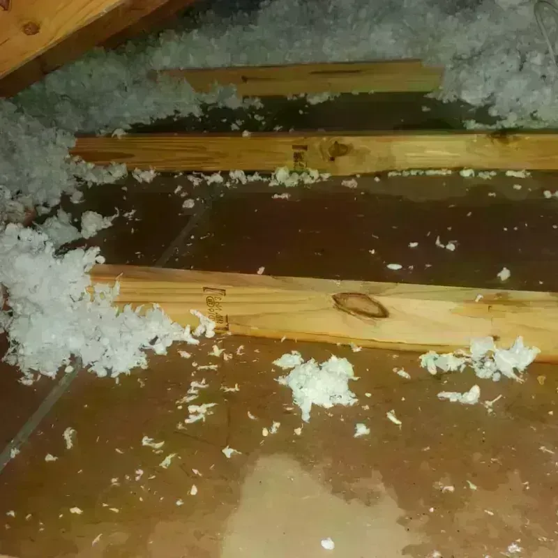 Attic Water Damage in Porter, ME