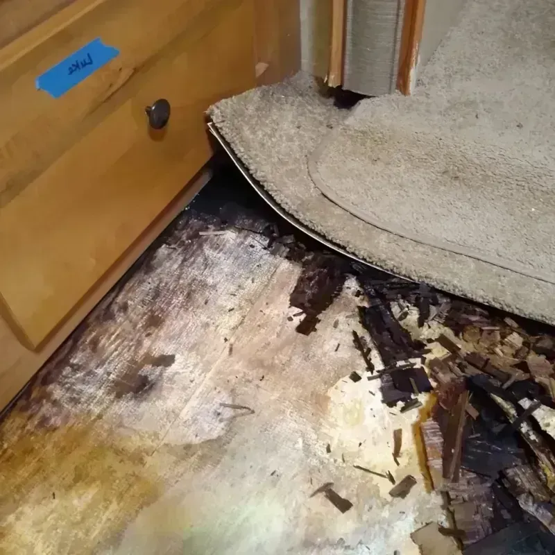 Best Wood Floor Water Damage Service in Porter, ME